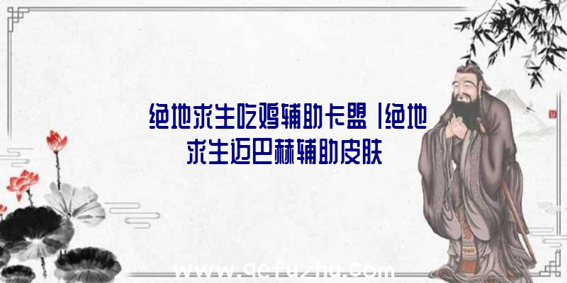「绝地求生吃鸡辅助卡盟」|绝地求生迈巴赫辅助皮肤